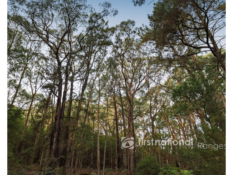 171a Stewart Road, Emerald VIC 3782