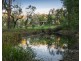 41 Tschampions Road, Macclesfield VIC 3782