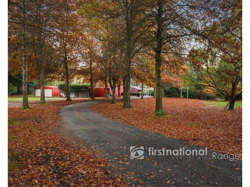 655 Gembrook-Tonimbuk Road, Gembrook VIC 3783