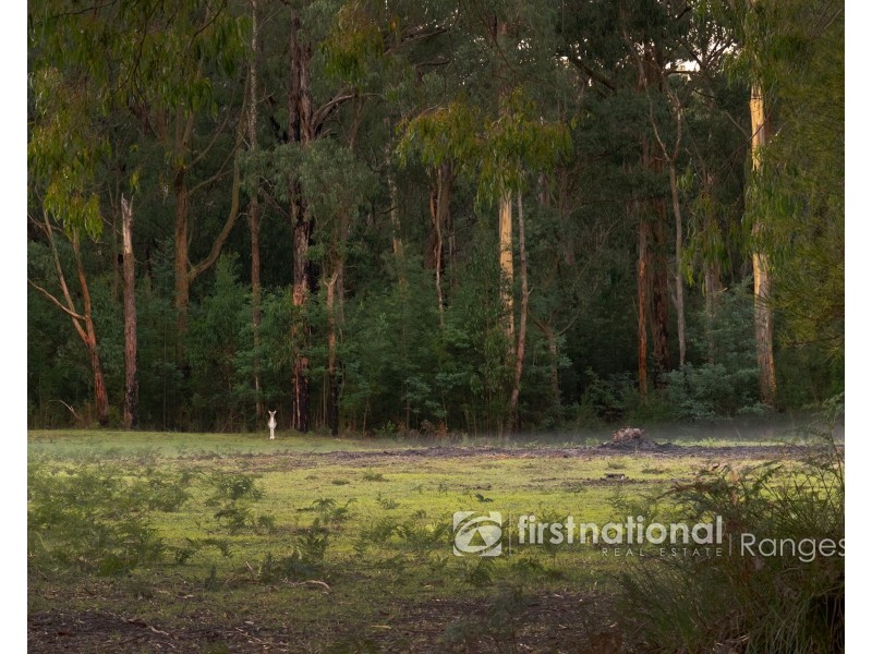 655 Gembrook-Tonimbuk Road, Gembrook VIC 3783