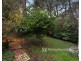 10 Victor Road, Clematis VIC 3782