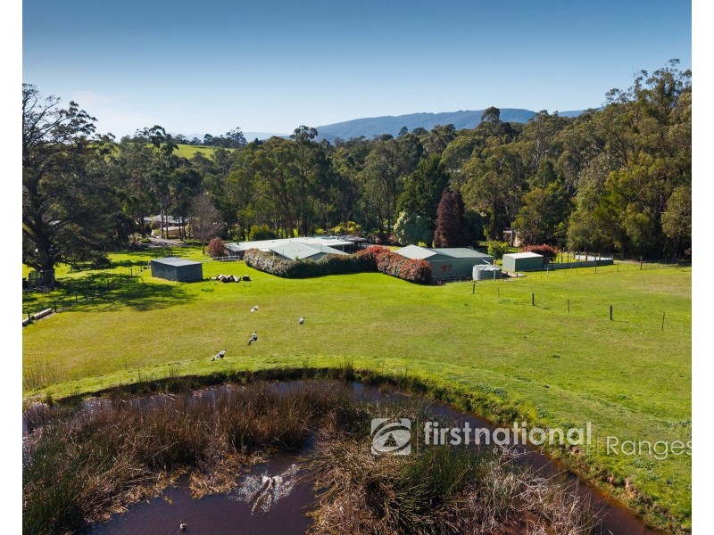 55 Burr Road, Woori Yallock VIC 3139