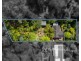28 Kallista-Emerald Road, Kallista VIC 3791