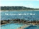 Dee Why NSW 2099