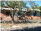 Elanora Heights NSW 2101