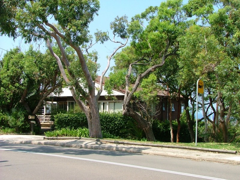 23  Plateau Road, Avalon NSW 2107