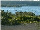 Tea Gardens NSW 2324