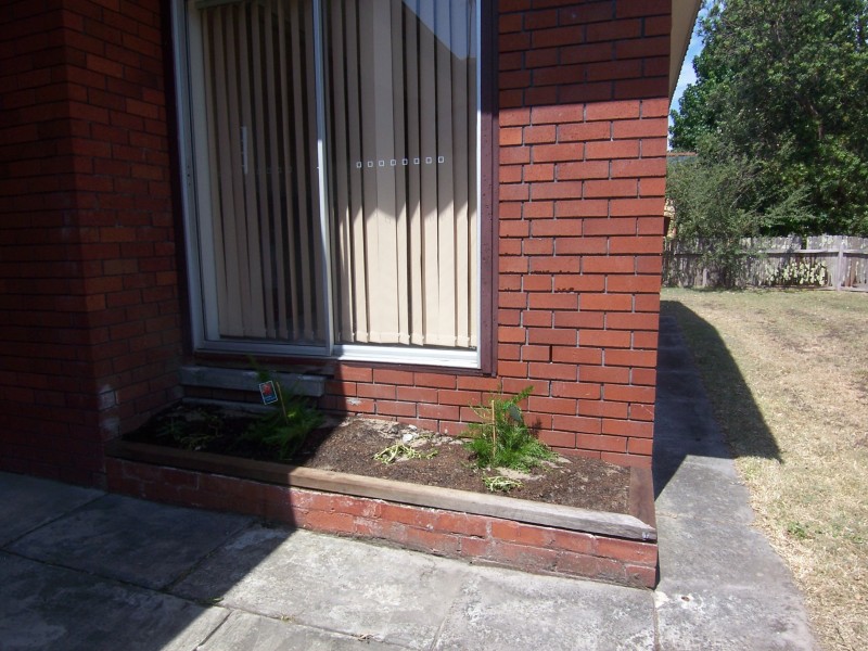 Tea Gardens NSW 2324
