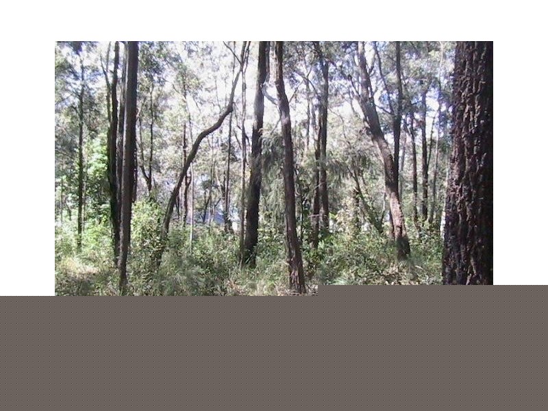 North Arm Cove NSW 2324