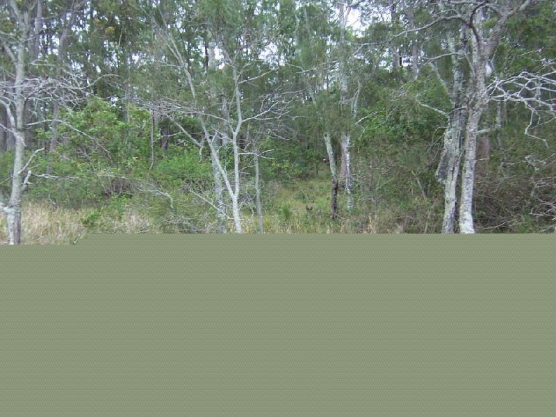 North Arm Cove NSW 2324