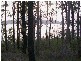 North Arm Cove NSW 2324