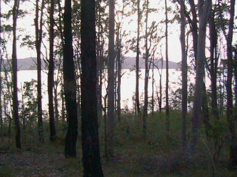 North Arm Cove NSW 2324