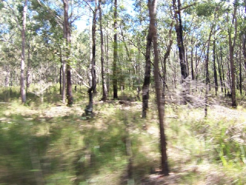 Lot 1206 Station Way, North Arm Cove NSW 2324