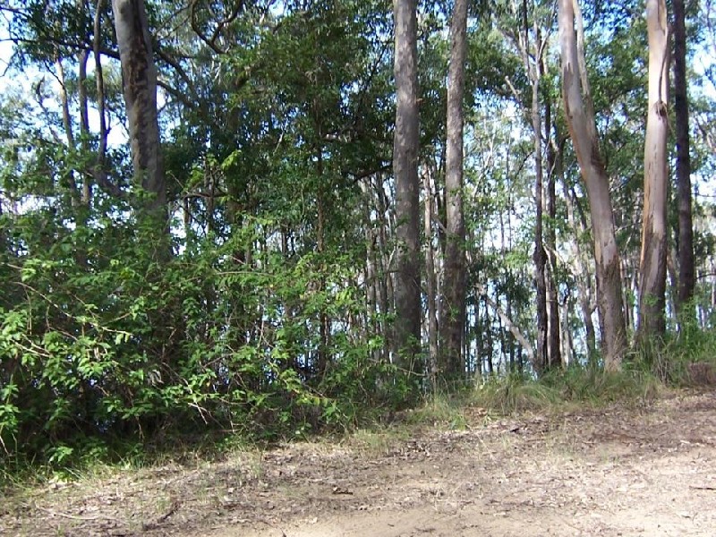 Lot 1206 Station Way, North Arm Cove NSW 2324