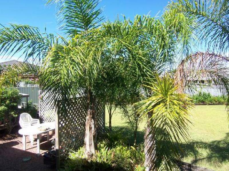 6 Myall Street, Tea Gardens NSW 2324
