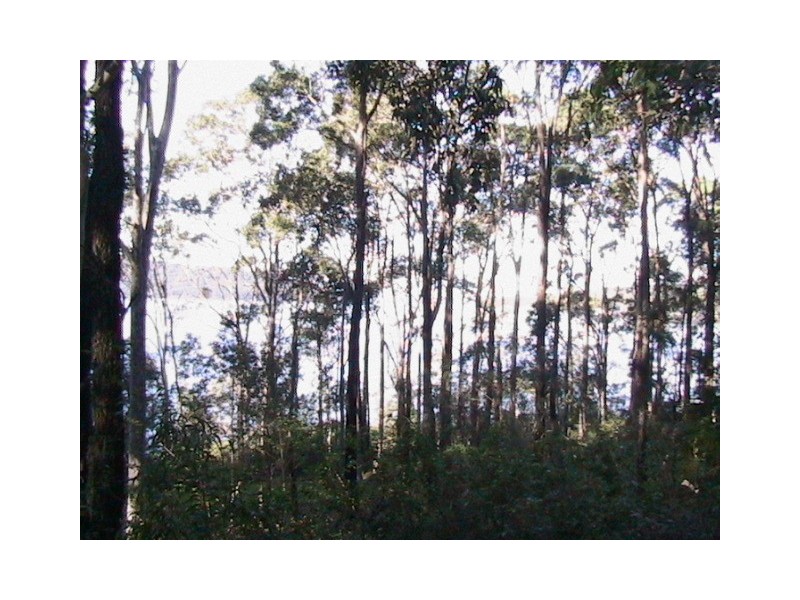 LOT 2783 Gunnedah St, North Arm Cove NSW 2324