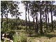 Pacific Highway, Karuah NSW 2324