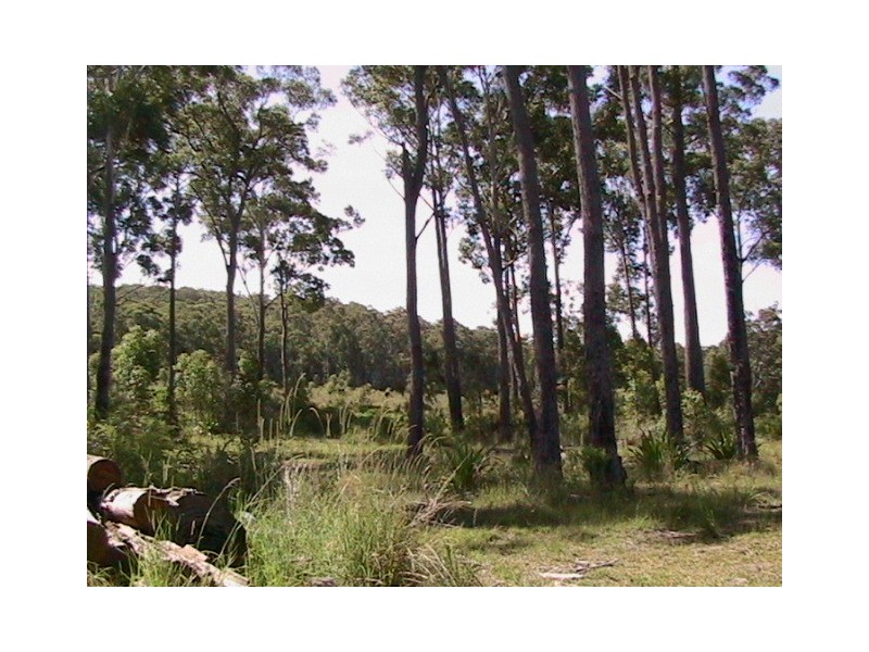 Pacific Highway, Karuah NSW 2324