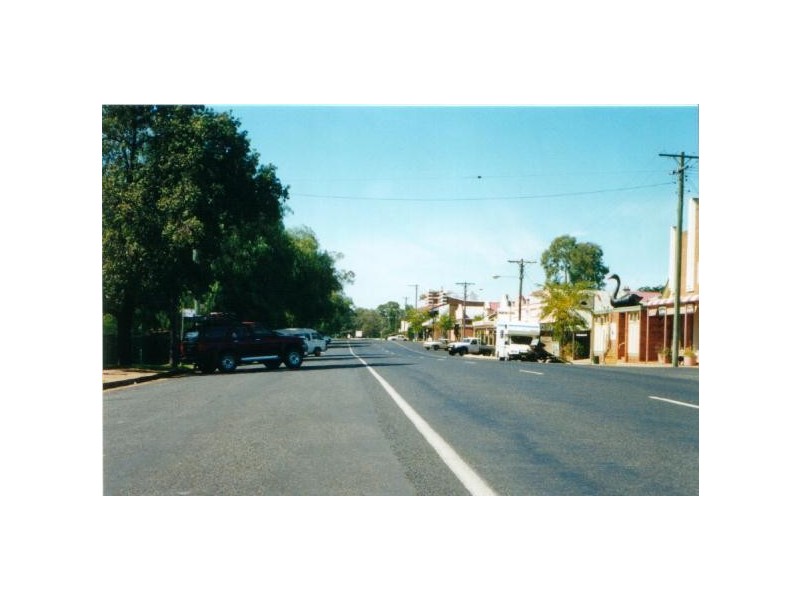 2-20 Tucklan St, Dunedoo NSW 2844