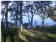 46 Point Circuit, North Arm Cove NSW 2324