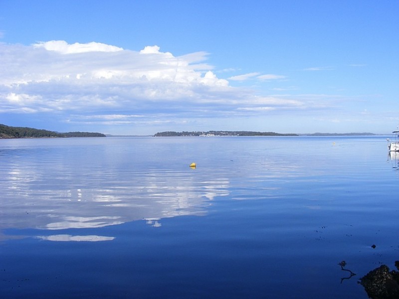 46 Point Circuit, North Arm Cove NSW 2324