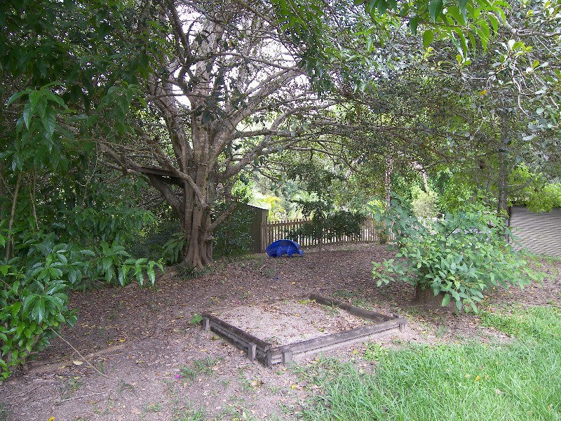 Mooloolah Valley QLD 4553