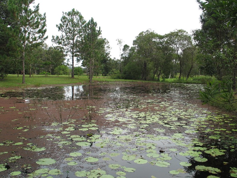 Mooloolah Valley QLD 4553