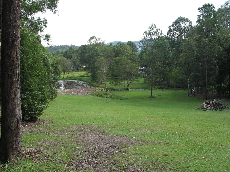 Mooloolah Valley QLD 4553