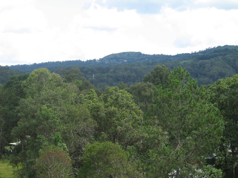 Mooloolah Valley QLD 4553