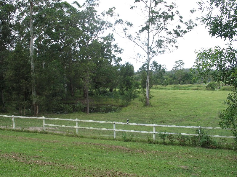 Mooloolah Valley QLD 4553