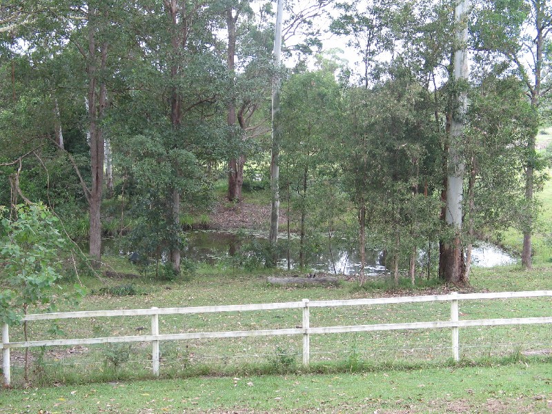 Mooloolah Valley QLD 4553