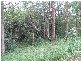 Mooloolah Valley QLD 4553