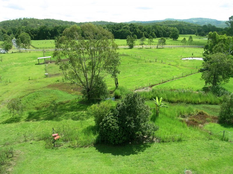 Mooloolah Valley QLD 4553