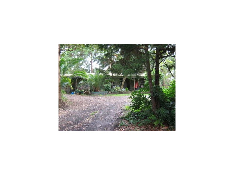 Mooloolah Valley QLD 4553