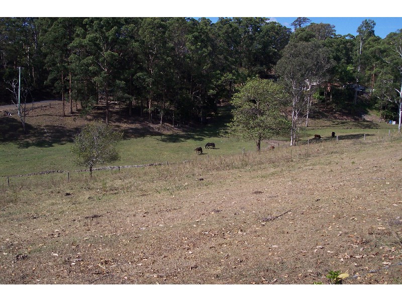 Mooloolah Valley QLD 4553
