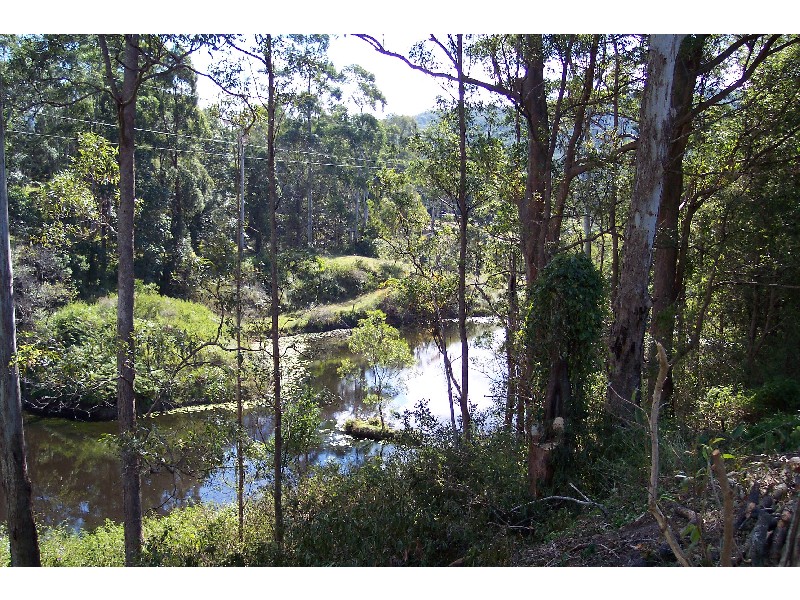 Mooloolah Valley QLD 4553