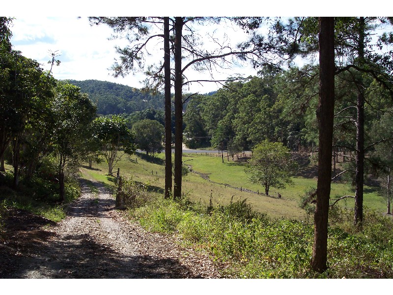 Mooloolah Valley QLD 4553