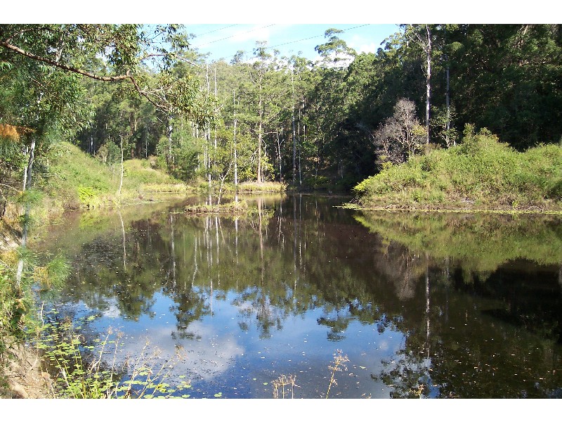 Mooloolah Valley QLD 4553