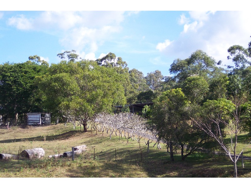 Mooloolah Valley QLD 4553