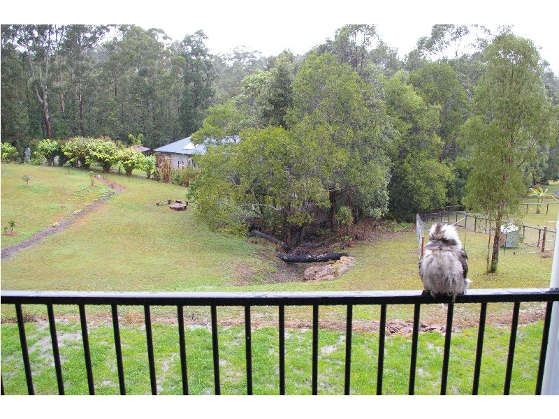 Mooloolah Valley QLD 4553