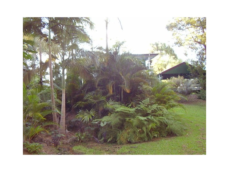 Mooloolah Valley QLD 4553