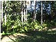 Mooloolah Valley QLD 4553
