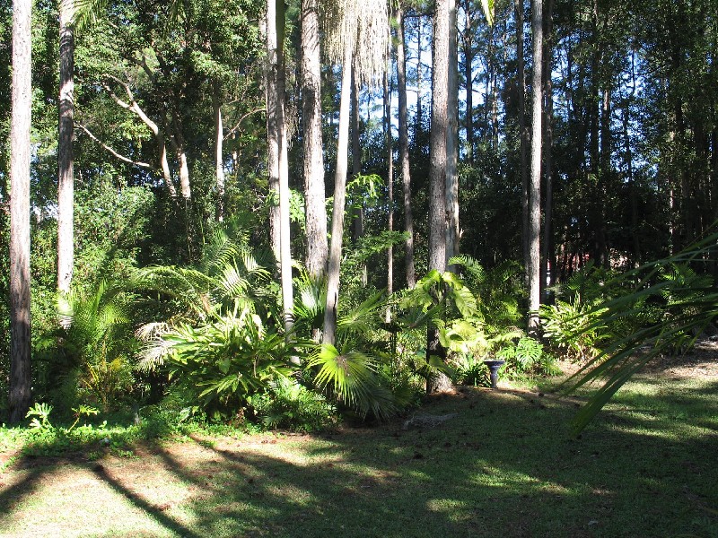 Mooloolah Valley QLD 4553