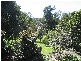 Mooloolah Valley QLD 4553