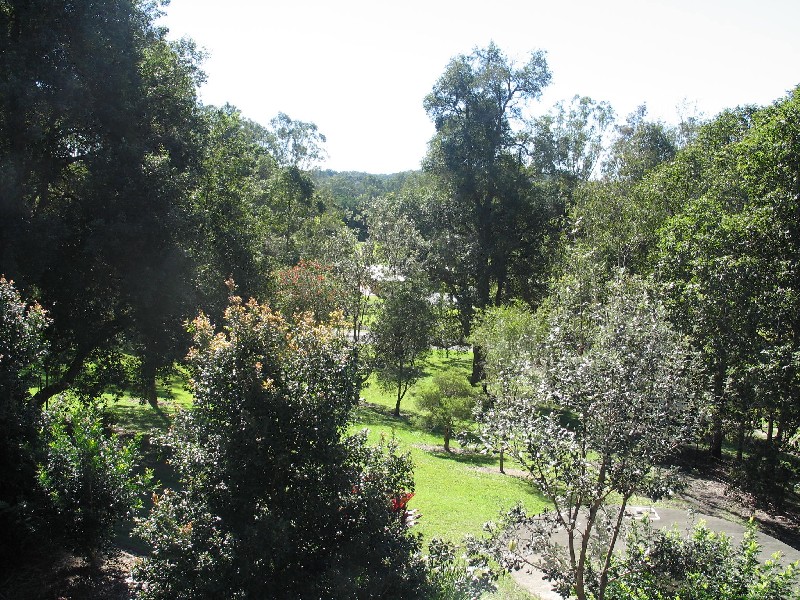 Mooloolah Valley QLD 4553