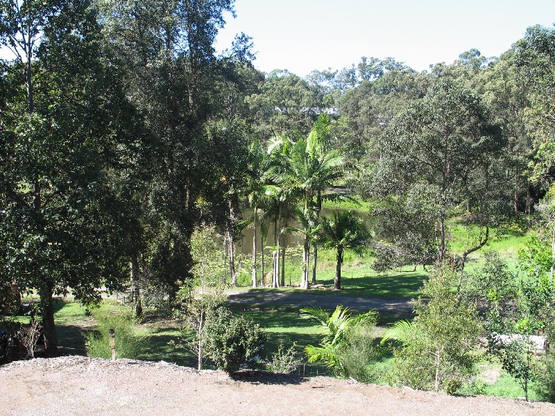 Mooloolah Valley QLD 4553