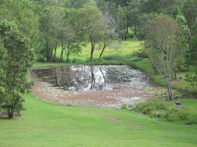 Mooloolah Valley QLD 4553