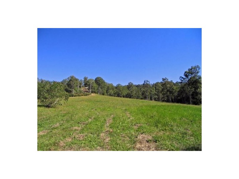 Mooloolah Valley QLD 4553