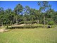 Mooloolah Valley QLD 4553