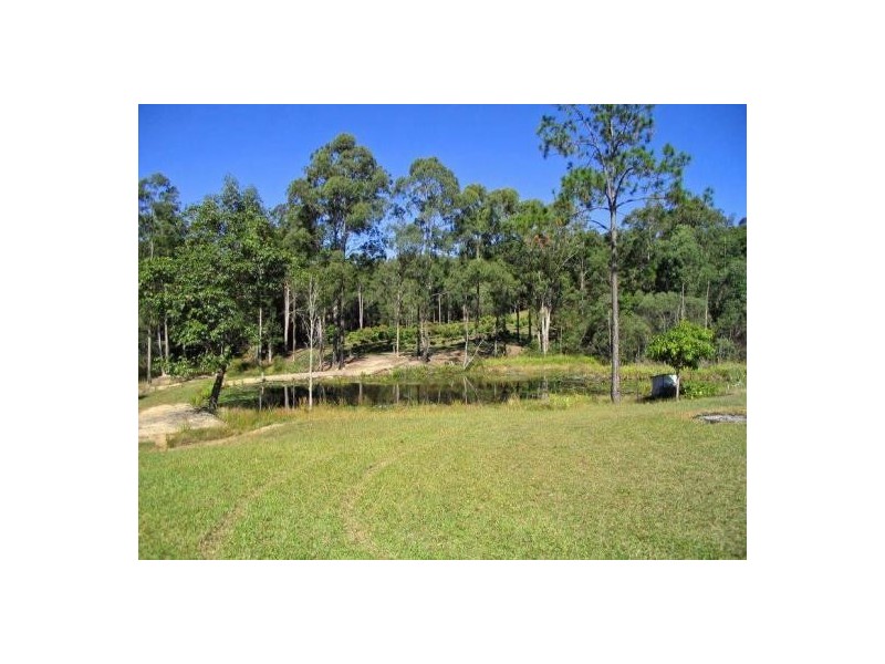 Mooloolah Valley QLD 4553